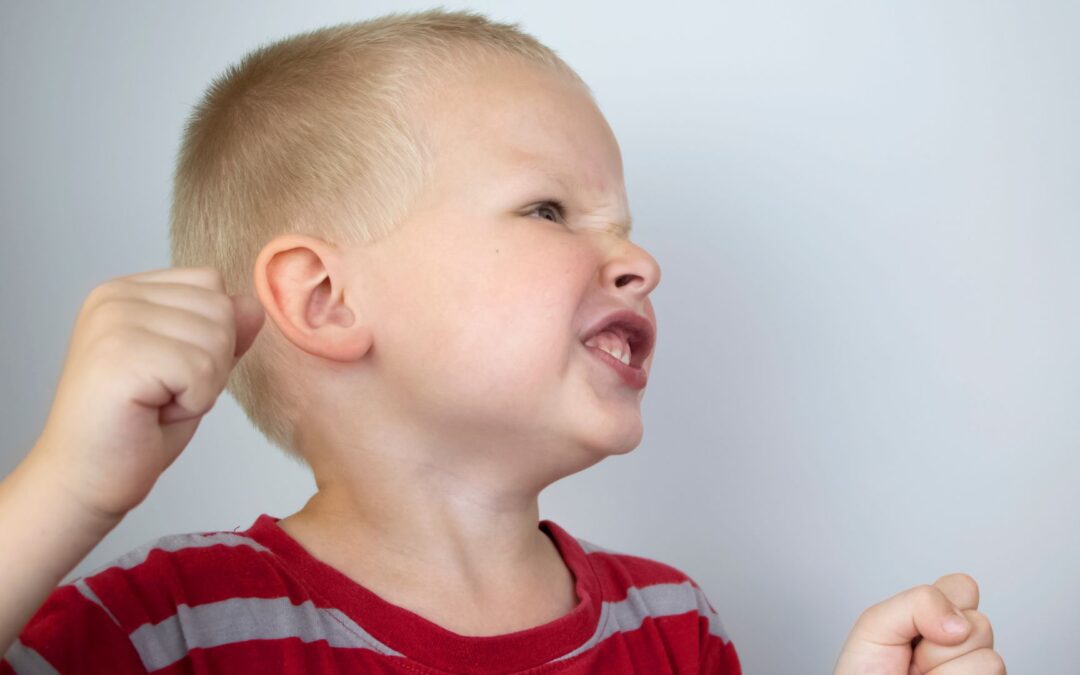 S2E33 – Biting, Aggression, and Emotional Overwhelm: Why Kids Act Out During Life Transitions—And How to Help
